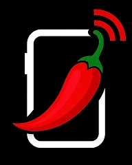 Red Chilli FinTech
